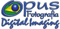 Opus Fotografia